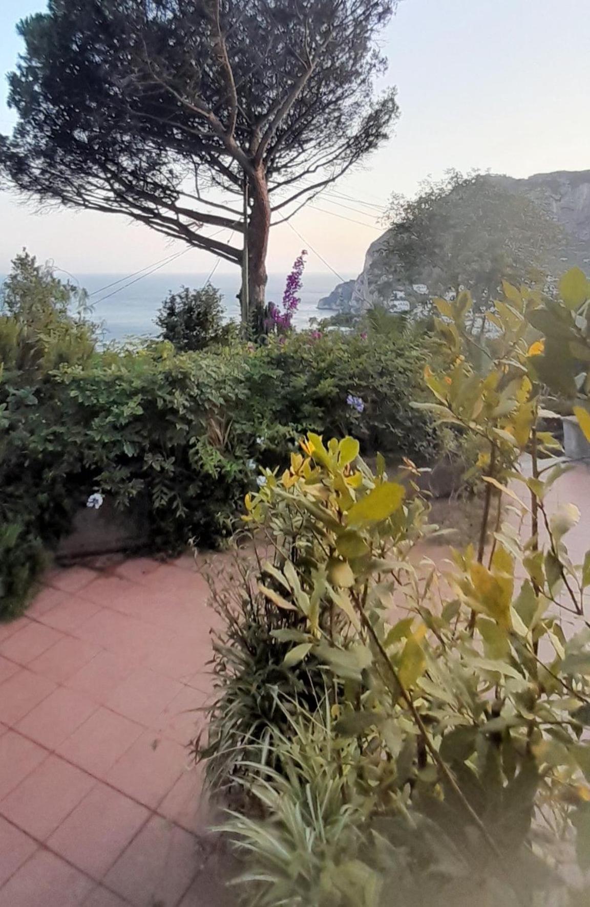 Villetta Rosetta Capri Exteriér fotografie