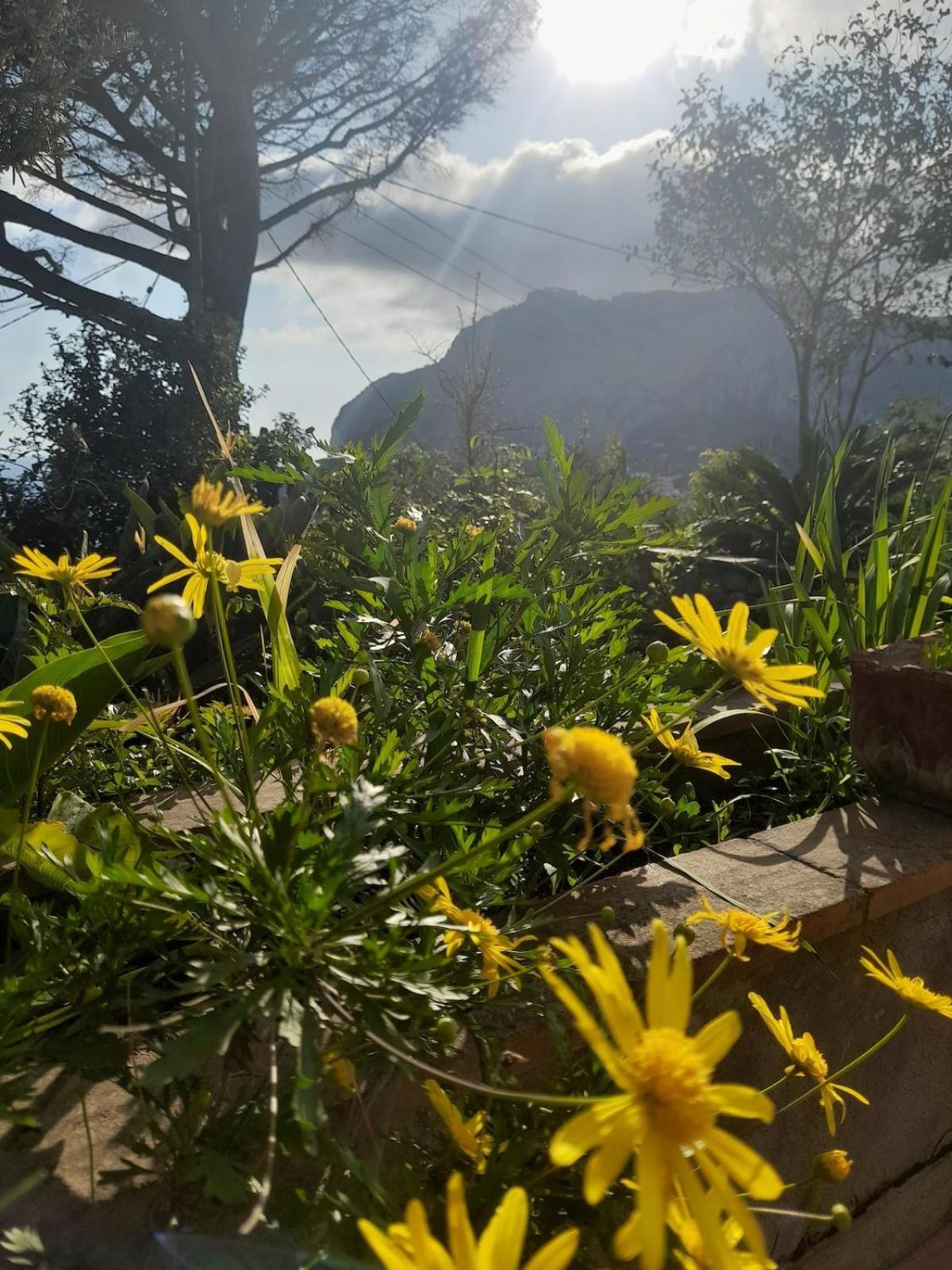 Villetta Rosetta Capri Exteriér fotografie