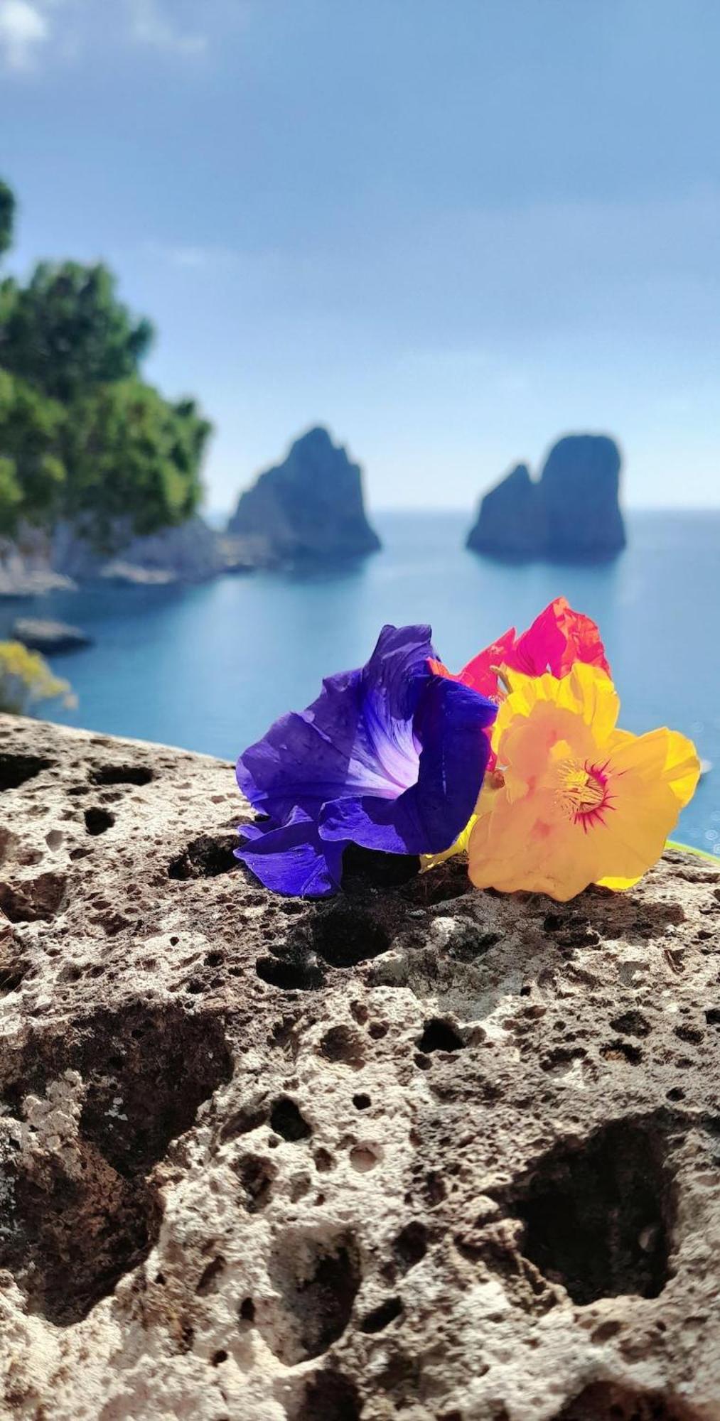 Villetta Rosetta Capri Exteriér fotografie