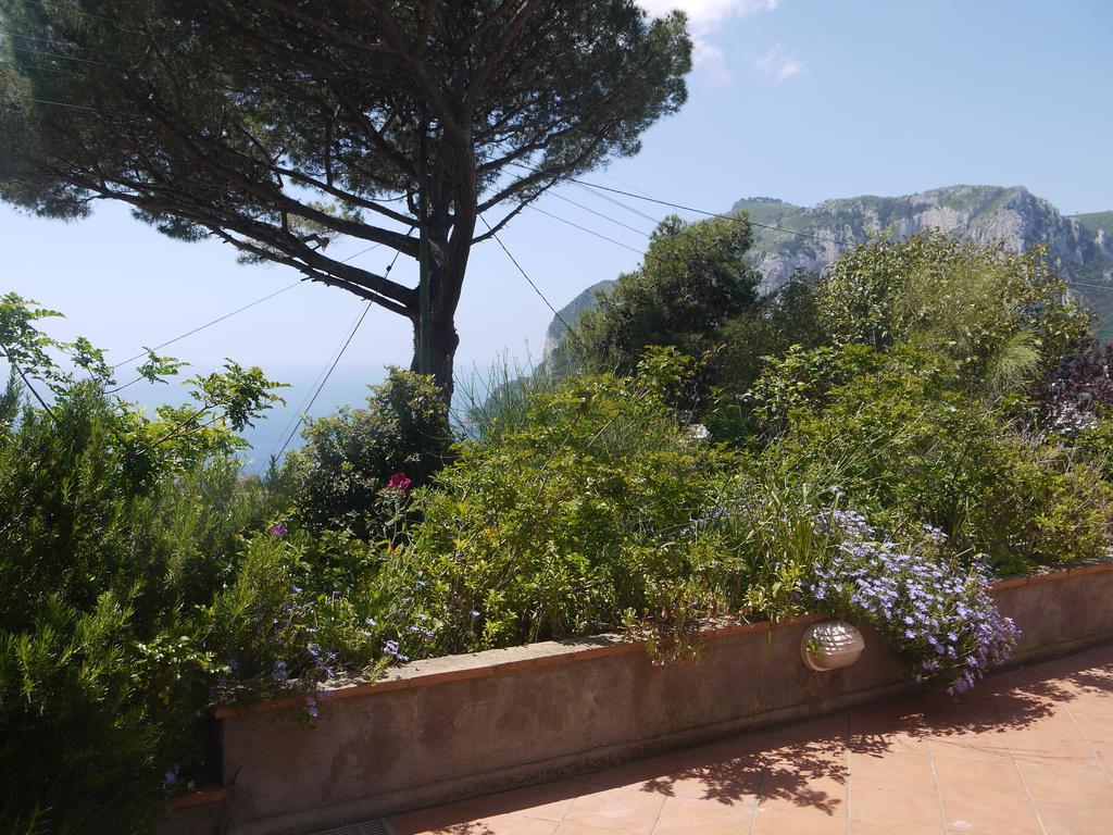 Villetta Rosetta Capri Exteriér fotografie