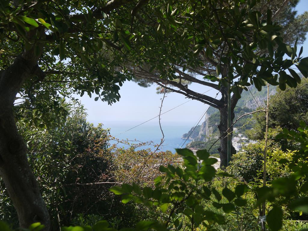 Villetta Rosetta Capri Exteriér fotografie